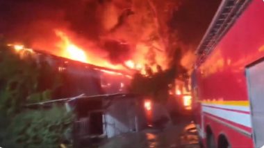 Uttar Pradesh Fire: Massive Blaze Erupts in Factory at Sahibabad Site 4 Industry Area in Ghaziabad; 18 Fire Tenders Rushed to the Spot (Watch Video)