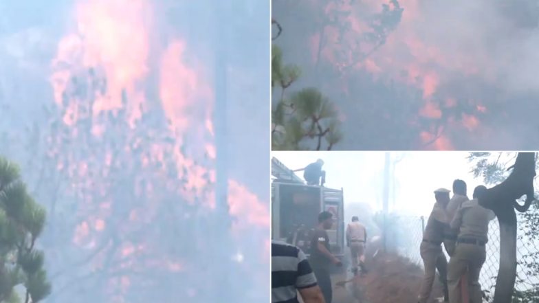 Himachal Pradesh Forest Fire Video: Flames Engulf Forest Near Sankat Mochan Temple in Shimla, Forest and Fire Departments Control Blaze