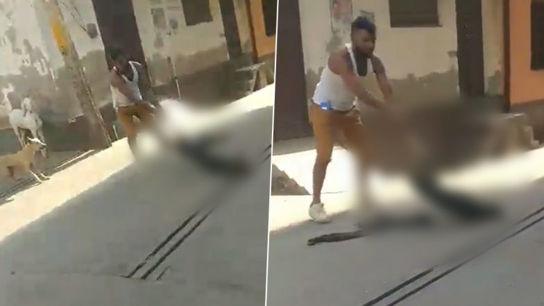 Dog Brutally Assaulted in Uttar Pradesh: Man Picks Up Dog by Its Leg, Repeatedly Slams It on Ground; Baghpat Police React to Disturbing Video