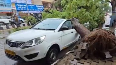 Ahmedabad Rains: Tree Falls and Damages Two Cars in KK Nagar Amid Heavy Rainfall (Watch Video)