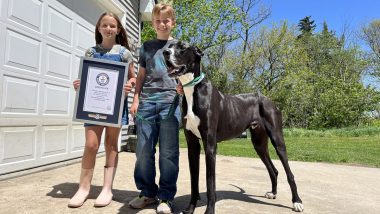 Kevin, World’s Tallest Dog Passes Away Days After Setting the Guinness World Record (See Picture)