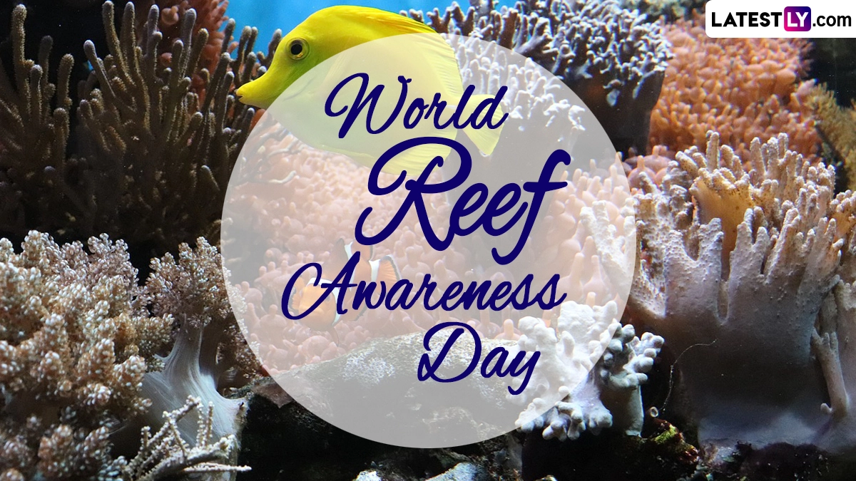 Festivals & Events News Share World Reef Awareness Day 2024 Images