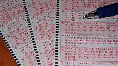 Nagaland State Lottery Result Today 1 PM Live, Dear Yamuna Sunday Lottery Sambad Result of 07.07.2024, Watch Live Lucky Draw Winners List