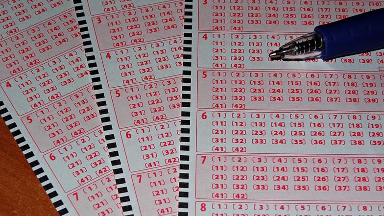 Sikkim State Lottery Result Today 6 PM Live, Dear Dancer Thursday Lottery Sambad Result of 13.06.2024, Watch Live Lucky Draw Winners List