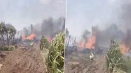 IAF Aircraft Crash: Su-30 MKI Fighter Jet Crashes in Maharashtra's Nashik, Both Pilots Manage To Eject Safely; Viral Video Surfaces