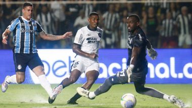 Botafogo Overcome Gremio To Regain Top Spot of Brazil Serie A 2024 Points Table