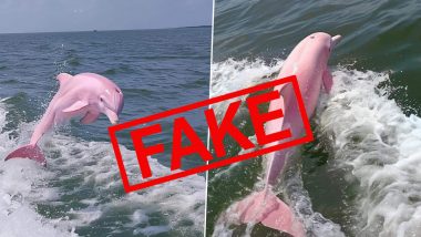 Pink Dolphin Spotted Off Coast of North Carolina? Fake Claim Along With AI-Generated Photos of Pink Dolphin Goes Viral, Here's a Fact Check