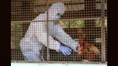 Bird Flu in India: Centre Asks All States and Union Territories To Undertake Preventive Measures As Four States Report Avian Influenza