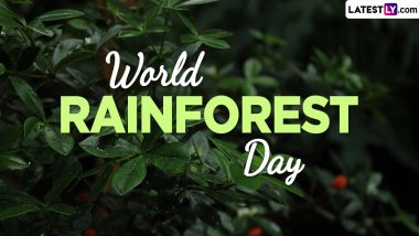 World Rainforest Day 2024 Images and HD Wallpapers: Share Messages, Quotes and Slogans To Highlight the Importance of Rainforests