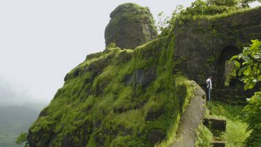 Maharashtra: Carved Tunnel-cum-Cave Discovered at Karnala Fort in Raigad, Claim History Enthusiasts