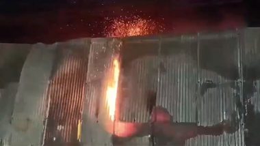 Rajasthan Fire: Massive Blaze Erupts in Cow Shed in Sriganganagar, 600 Cows Evacuated (Watch Video)