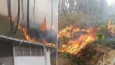 Himachal Pradesh Forest Fire Video: Forest Fire Rages for 10 Hours in Solan As Efforts Intensify To Douse Flame