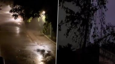 Chennai Rains: Heavy Rainfall Lash City and Nearby Areas Affecting Flight Services, Residents Share Videos of Downpour