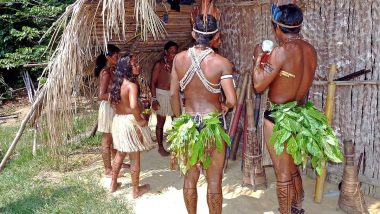 'Porn Shared in WhatsApp Groups by Minors': Amazon Tribe Leader Expresses Concerns Over Negative Impact of Internet Access Via Elon Musk's Starlink