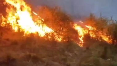 Jammu and Kashmir Forest Fire Video: Forest in Poonch’s Tota Gali Engulfed in Flames, Efforts Underway To Control Blaze