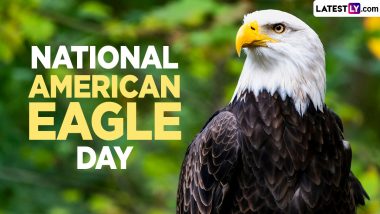 National American Eagle Day 2024 Date and History: Know the Significance of the Day Dedicated to Bald Eagles