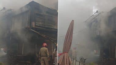 Delhi Fire: Significant Blaze Erupts at Block C Market in Vasant Vihar Locality, Doused Off (See Pics and Video)