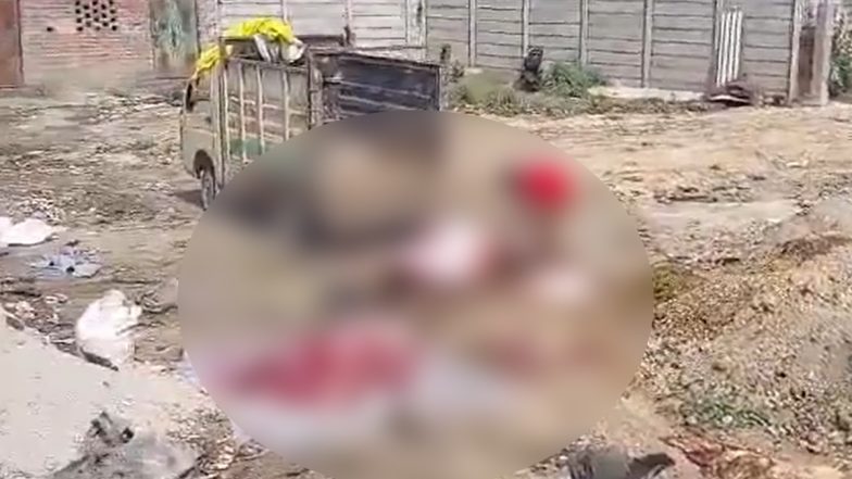 Uttar Pradesh: Police React to Viral Video Alleging Illegal Cow Slaughter at Butchers’ Ground in Unnao, Say ‘No Evidence Found'