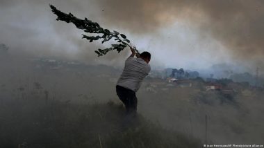 Is the EU Doing Enough to Prepare for Wildfires?