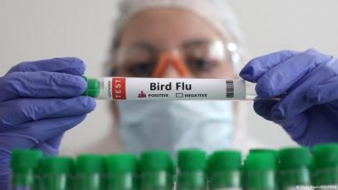 Bird Flu? Swine Flu? A Guide to H5N1 Viruses and Beyond