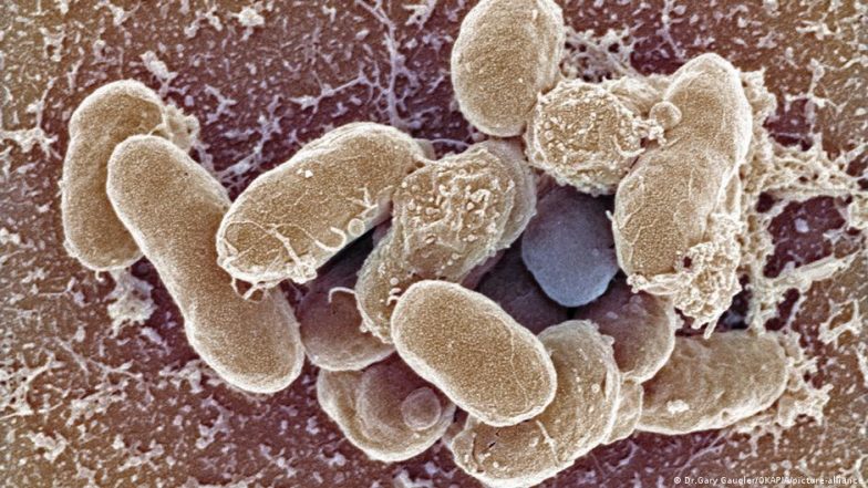 Are Scientists Finally Beating Antimicrobial Resistance?
