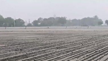 Gujarat Rains: Heavy Rainfall Lashes Parts of Porbandar City, IMD Issues Alerts for Different Areas Across Country (Watch Video)