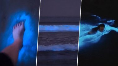 Bioluminescence in California 2024: Ocean Waves Turn Into Bright Blue Making It a Pleasant Sight for Enjoyment, Viral Video Resurfaces Online