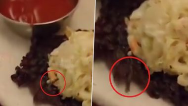 Live Worm Found in Food: Customer Finds Worm Crawling on Kebab Served at Delhi Restaurant, Disgusting Video Goes Viral