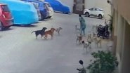 Dog Attack in Hyderabad: Woman Sustains Severe Injuries After Being Attacked by Pack of 15 Stray Dogs While on Morning Walk, Disturbing Video Surfaces