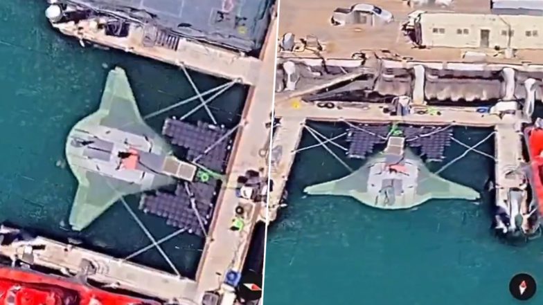 Manta Ray Spotted on Google Maps? Netizens Claim to Find Top-Secret US Aquatic Drone on Google Maps, Satellite Pics of Vessel Go Viral