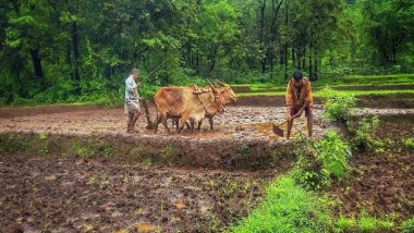 Rajasthan Government Hikes PM Kisan Samman Nidhi Amount by Rs 2,000 for State’s Farmers