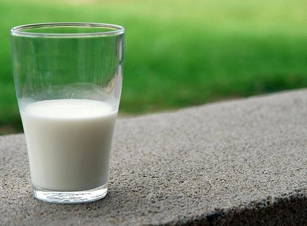 World Milk Day 2024: NDRI Focuses on Role of Dairies in Providing Quality Nutrition