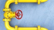 Business News | Govt Reduces Natural Gas Price for June from USD 8.9/mmBtu to USD 8.44/mmBtu