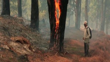 India News | Forest Fire Breaks out at Gangera Hil in J-K's Udhampur