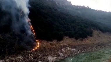 World News |  Pakistan Finds It Hard to Control Forest Fires as Heatwave Sweeps Nation