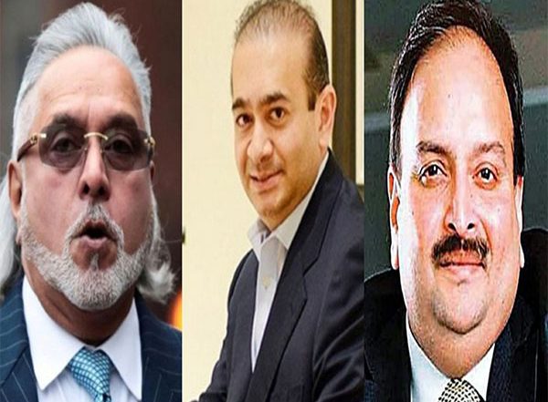 India News | Nirav Modi, Vijay Mallya, Mehul Choksi Fled Country Because Probe Agencies Failed to Arrest at Proper Time: Mumbai PMLA Court
