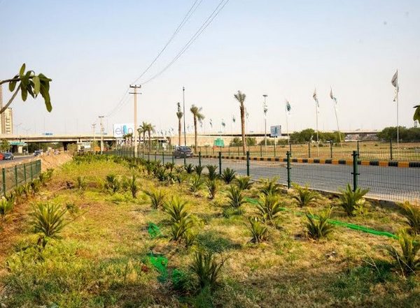 Business News | Elan Foundation Pledges to Cultivate More Than 25,000 Plants and Trees on World Environment Day