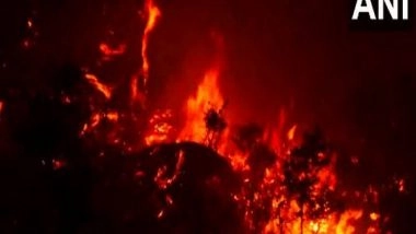 India News | Udhampur: Kaldi Forest Engulfed in Flames for Last Three Days, Forest Resources Destroyed