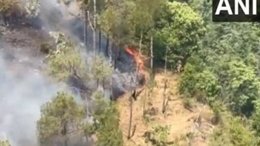 India News | Himachal Pradesh: Fire Breaks out at Solan Forest, Fire Tenders at Spot