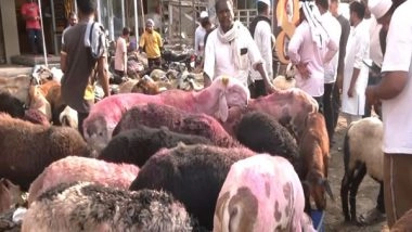 India News | Hyderabad Market Abuzz with Goats, Sheep Ahead of Eid-ul-Adha