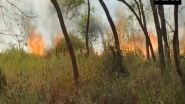 India News | Fire at Kathlour Wildlife Sanctuary in Punjab's Pathankot