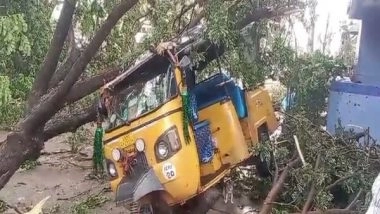 India News | Heavy Rain with Gusty Winds Uproots Several Trees in Andhra's Srikakulam