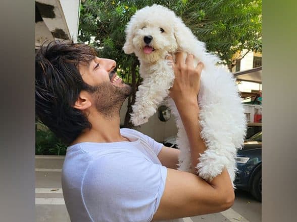 Entertainment News | Kartik Aaryan Trains His Pet to Become ‘Katori Champiyon’