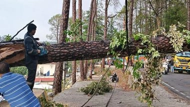 India News | Maharashtra: Heavy Rain Lashes Thane; Tree Fall Incidents Reported