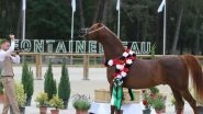 World News | Egypt to Host 6th Emirates Arabian Horse Global Cup Show