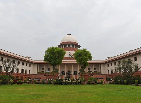 India News | SC Says Brazen Acts of Tree Felling in Delhi Cannot Be Lightly Brushed Aside