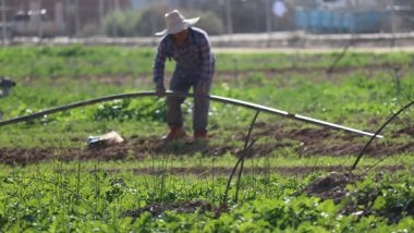 World News | Thai Agricultural Workers to Return Israel After 8 Months
