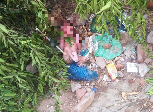 India News | Vigilant Citizen, Trained Dog Save Abandoned Newborn in Ahmedabad, Gujarat Home Minister Praises Effort