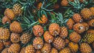India News | Largest Pineapple Shipment of the Year Boosts Farmer's Hopes in Tripura