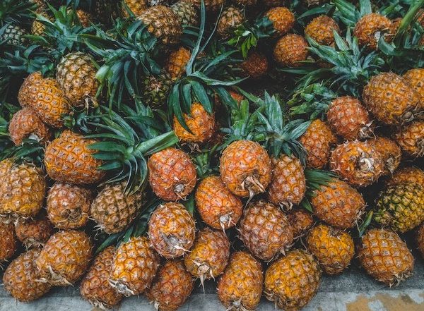 India News | Largest Pineapple Shipment of the Year Boosts Farmer's Hopes in Tripura